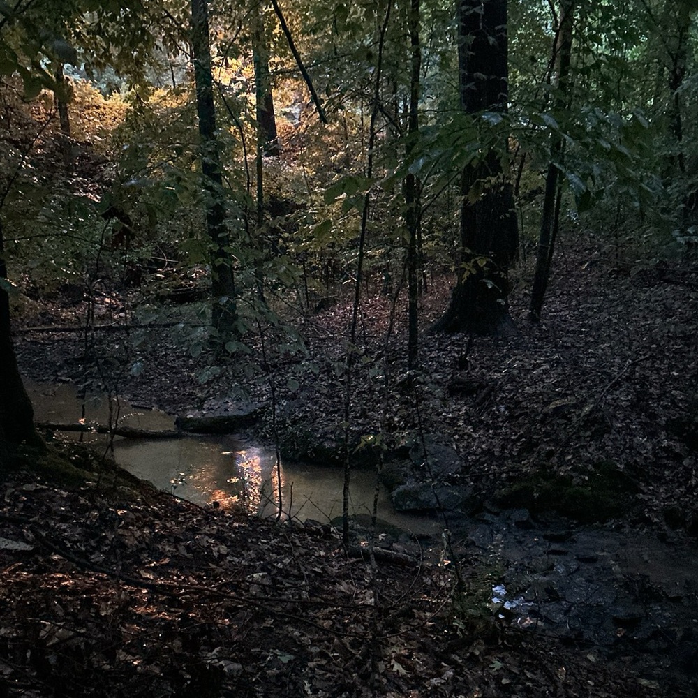 Meet your Posher, Austin